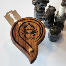 Load image into Gallery viewer, Rashi Kark - Cancer